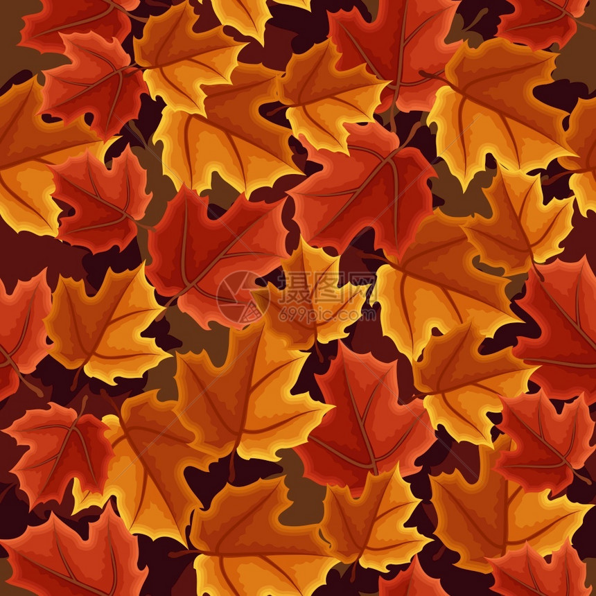 枫叶树秋秋季节无缝图案图片