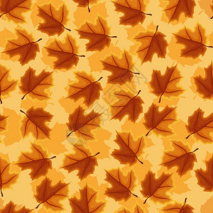 枫叶树秋秋季节无缝图案图片