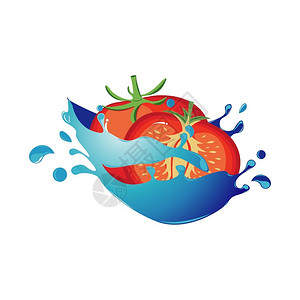 蔬菜在水中在水中的新鲜西红柿卡通矢量插图插画