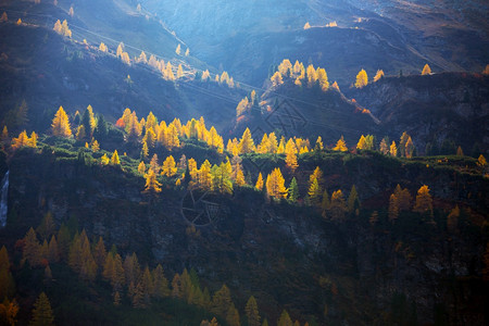 山上秋天美丽的风景图片