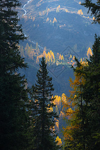 山上秋天美丽的风景图片