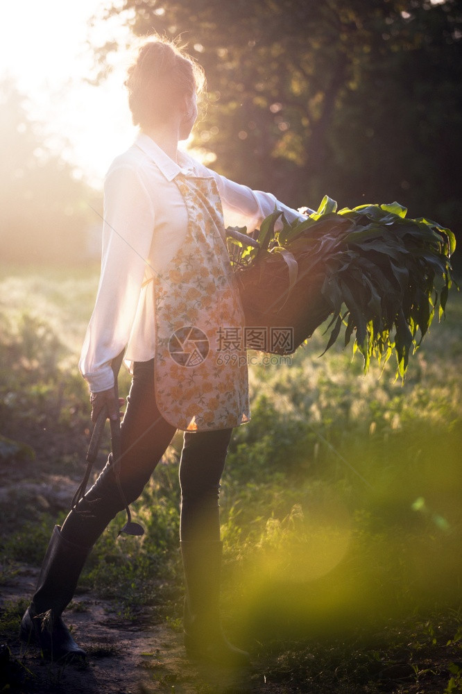 村里的女孩在花园工作女孩拿着带玉米和园艺工具的篮子在日光下图片