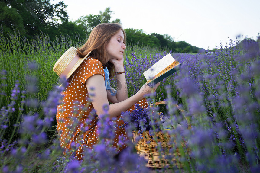女孩在熏衣草地上看书和在草地上用熏衣篮子看书图片