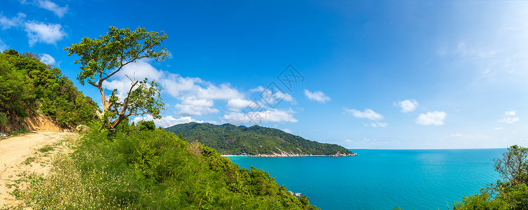 夏日全岛的景图片