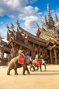 paty旅游者乘大象绕着真相的圣殿在夏季日间泰国的帕达亚Paty背景