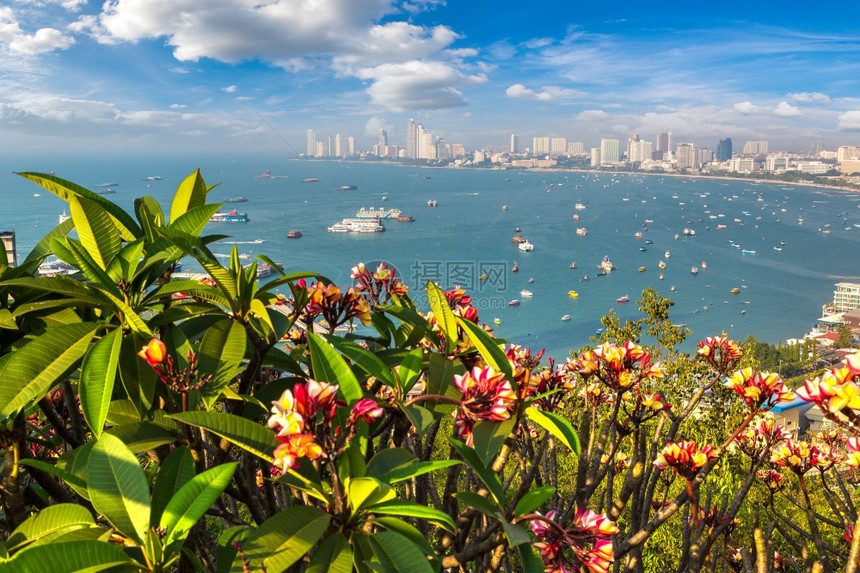 夏日在泰国的帕塔亚湾图片