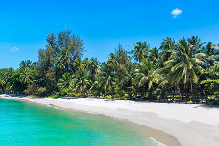 摩罗泰岛夏日在泰河沿岸的KohSamui岛有棕榈树的热带海滩背景