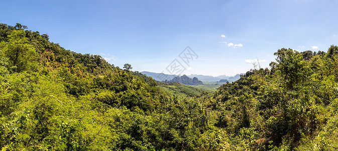 卡昂夏日泰国的热带雨林全背景