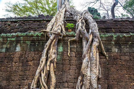 塔普罗姆寺庙的废墟是夏日Cambodi的夏日Semsar的复杂Agkorwat古寺背景