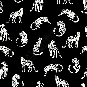 无缝异域图案有豹的抽象轮廓矢量手绘设计背景图片