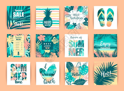 一套夏季热带设计用于卡片海报传单wedantoher的矢量模板背景图片