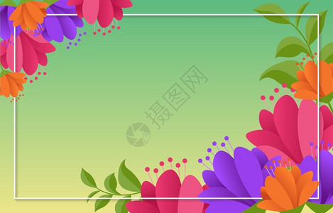 甜菊叶春天盛开鲜花插画背景设计图片