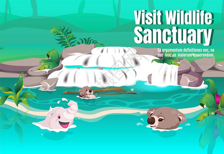 龙柏考拉保护区访问野生动物保护区海报插画