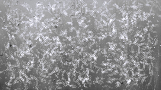 显微镜下的许多细菌高清图片