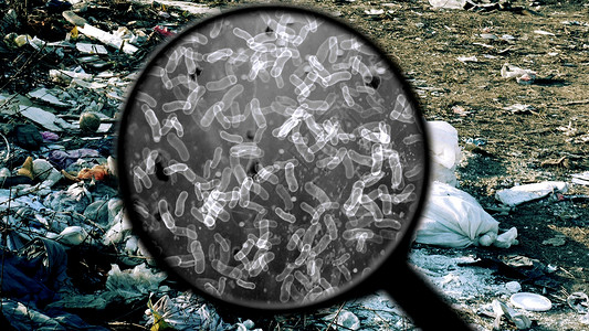 搜索垃圾中的细菌图片