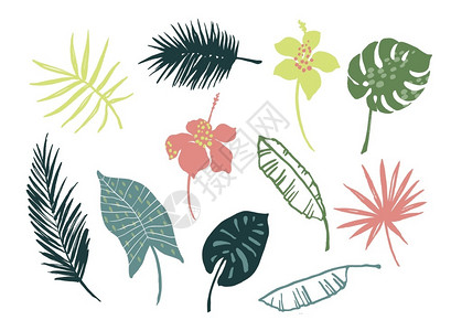 热带植物矢量设计元素图片