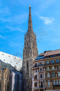 圣斯蒂芬斯大教堂奥地利的建筑高清图片