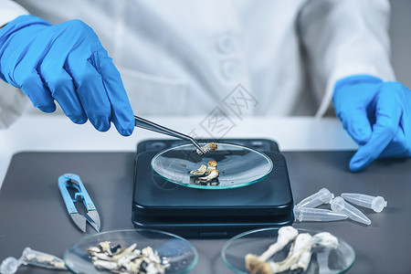 实验室用于科学的微剂量高清图片