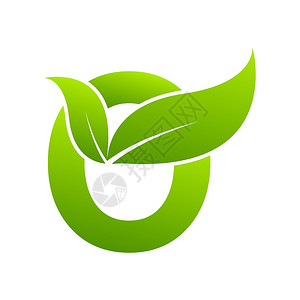 乔木植物素材o带有叶元素的字母生态概念插画