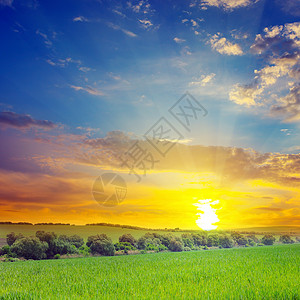绿地太阳和蓝天空图片