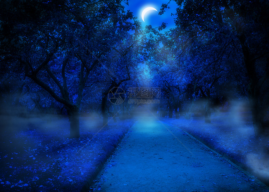 夜晚公园背景的蓝苹果树抽象图片