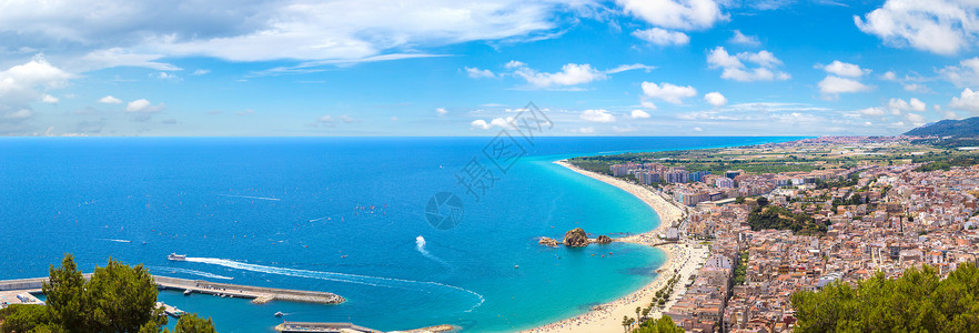 帕洛梅拉在美丽的夏日中波斯文背景