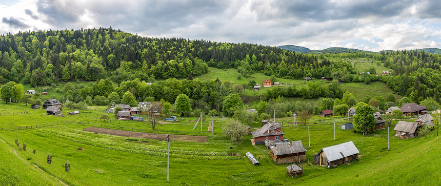 在美丽的夏日中喀尔巴阡山脉森林的全景图片
