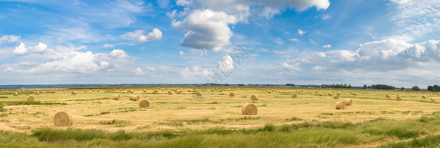 在一个美丽的夏日中干草田高清图片