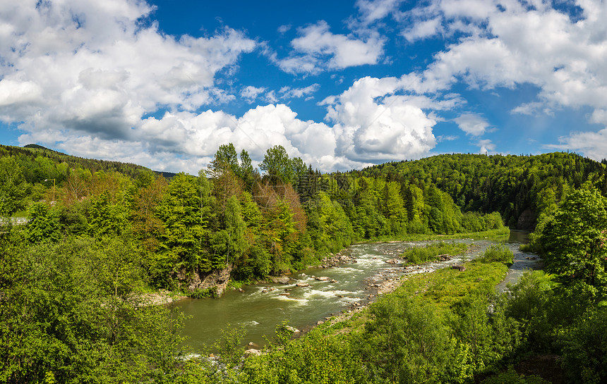 喀尔巴阡森林中的山河全景在一个美丽的夏日乌黑图片
