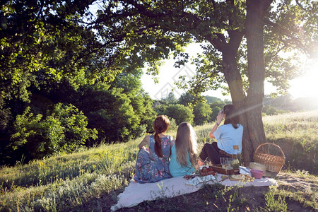 夏季家庭在森林的草地野餐图片