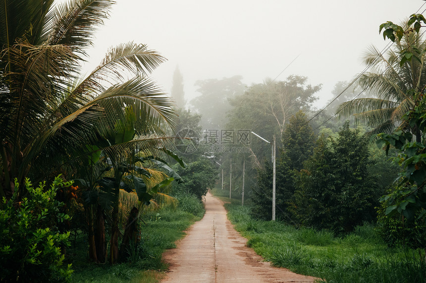 农村景点位于绿红树和丘陵花园之间的泰兰乡村镇小公路图片