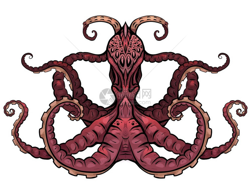 章鱼的颜色说明对象与背景分开用于在t恤衫封面纹身草图和设计上打印的插图该对象与背景分开图片