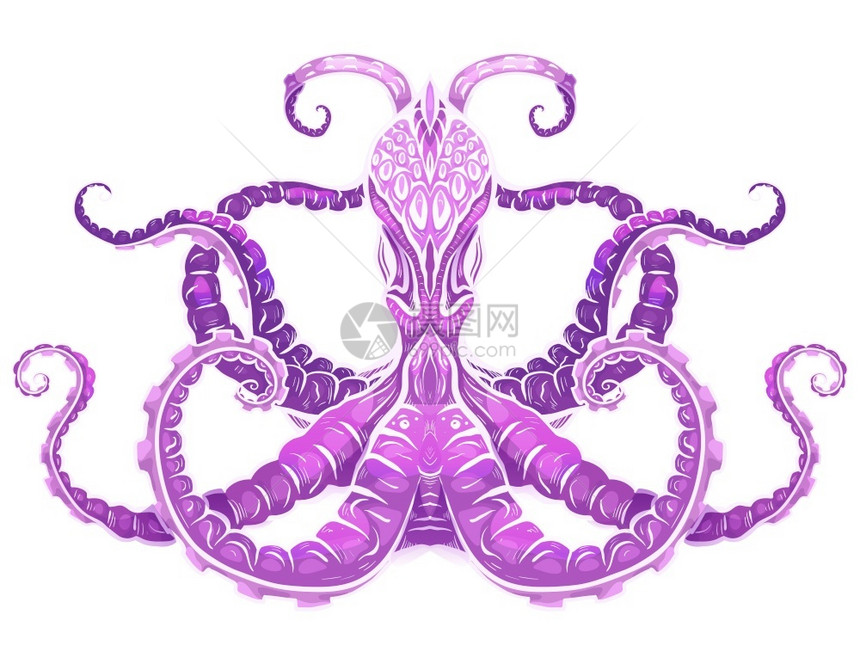 紫章鱼的颜色说明对象与背景分开用于在t恤衫封面纹身草图和设计上打印的neo说明该对象与背景分开图片