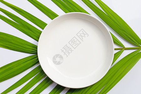 热带棕榈树叶上白色背景的空陶瓷板背景图片