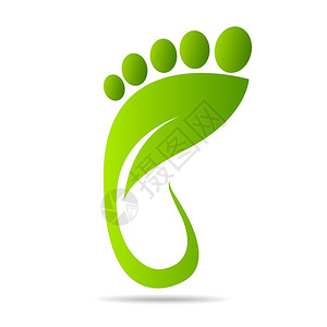 脚水绿叶足迹有机健康插画