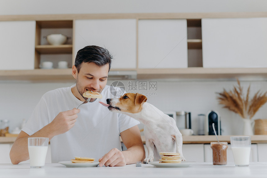 男人吃煎饼时在旁边的狗也想吃图片