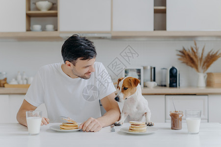 宠物狗把爪子放在白桌上想要吃煎饼背景图片