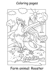 公鸡素材涂色带两只公鸡和一群小鸡仔漫画轮廓插图用于学龄前教育儿童插画