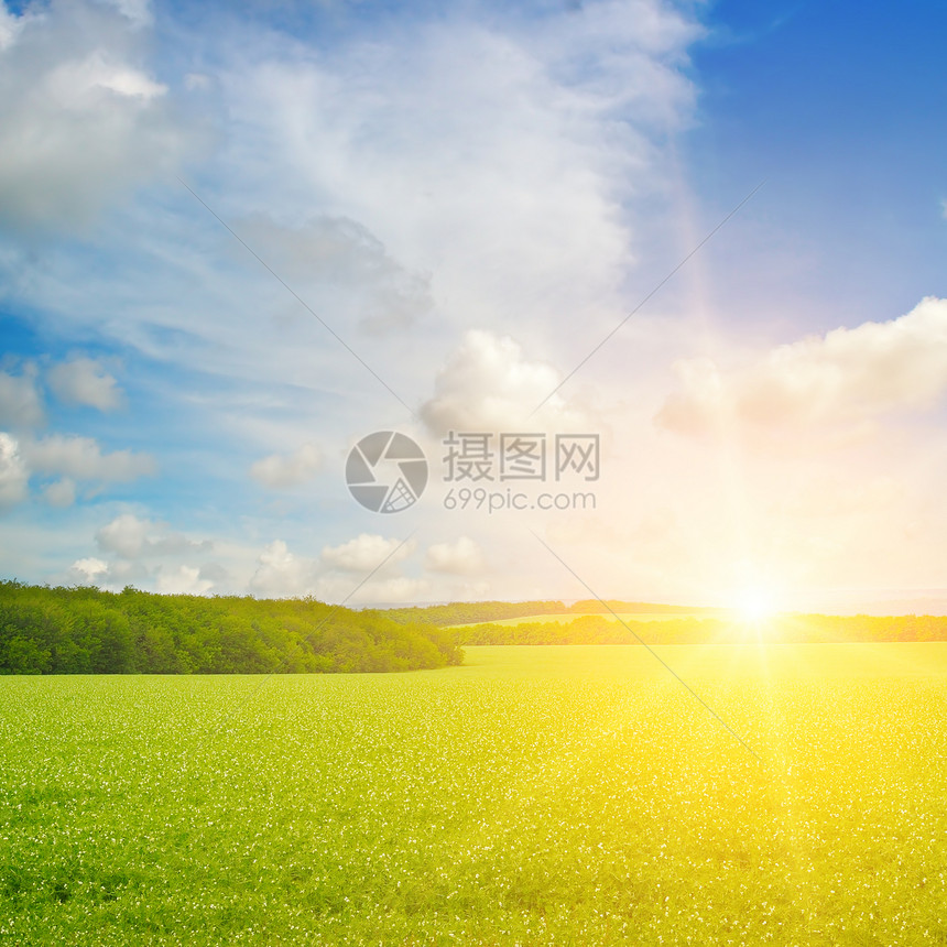 绿地蓝天空云彩明亮的日出在地平线上图片