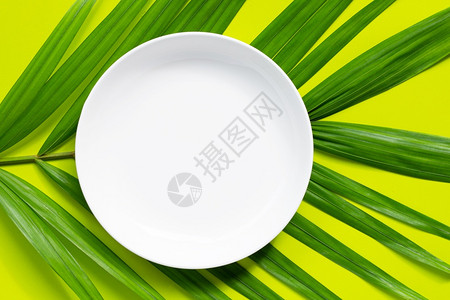 热带棕榈树叶上绿色背景的空白陶瓷板图片