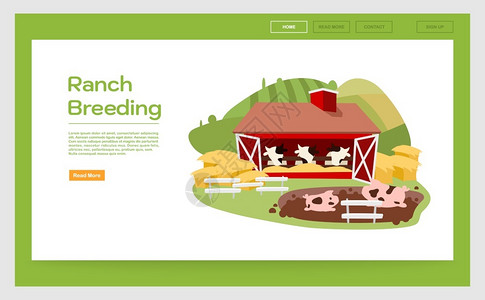 绿色企业素材畜牧业网站插画