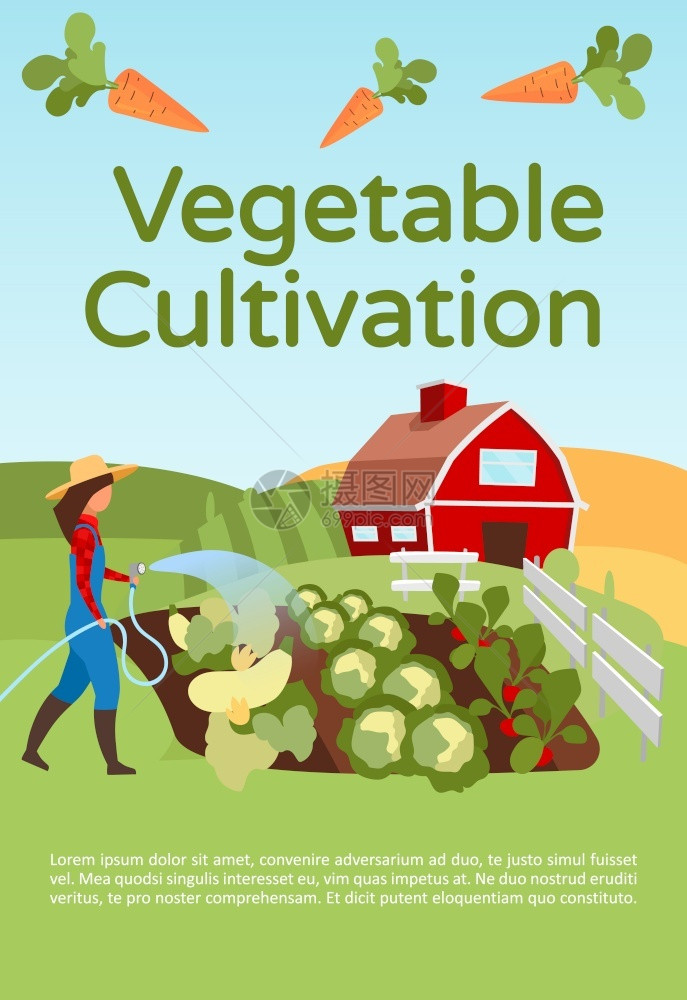 蔬菜作物种植小册子模板传单小册子配有平板插图的传单概念蔬菜耕作和园艺杂志矢量页面布局图片