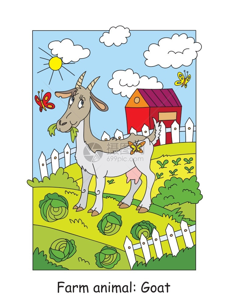 带彩色的在吃卷心菜的山羊卡通插图的图解用于学前教育图片
