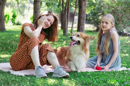 家养狗与女孩们在绿草坪上图片