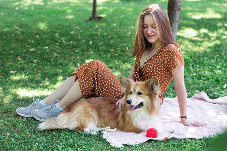 家养狗与女孩在绿草坪上图片