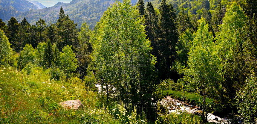 比利牛斯山脉地貌夏季在安多拉河谷的绿色植被图片