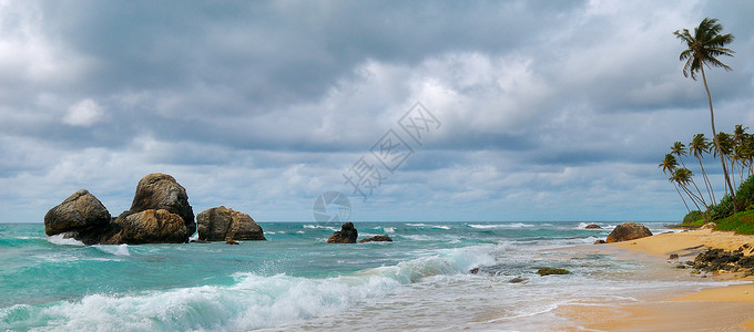 热带沙滩的srilank宽广的照片图片