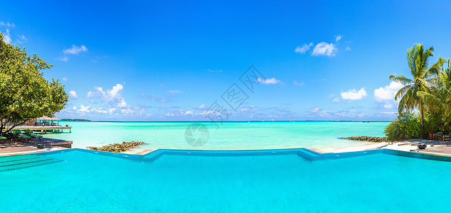 夏季白天在热带海滩的游泳池图片
