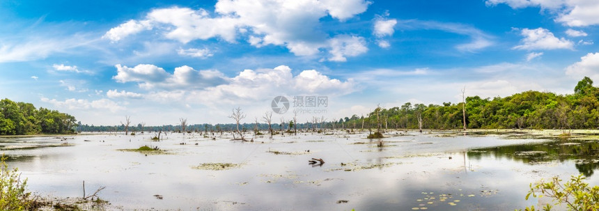 在夏日的坎波迪亚Cambodi图片