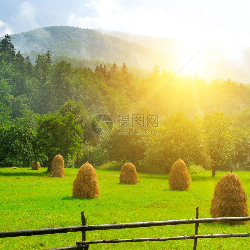 在山谷的草原上地被落日照亮图片